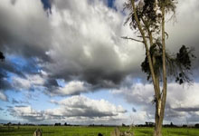 制图培训学校多少钱,工程制图培训班一般多久